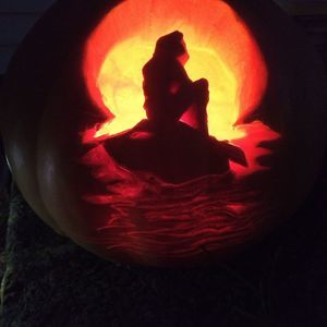 Meet your Posher, Jodi